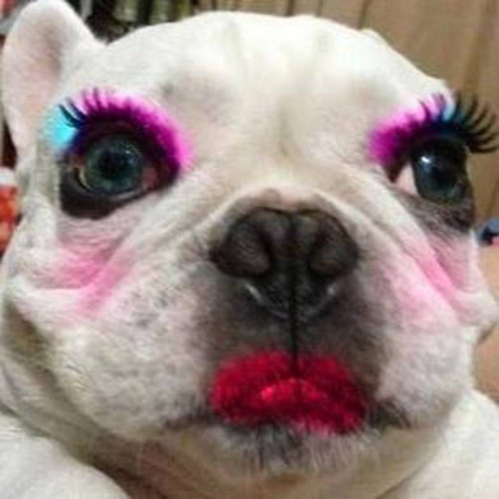 Meet your Posher, Gerri